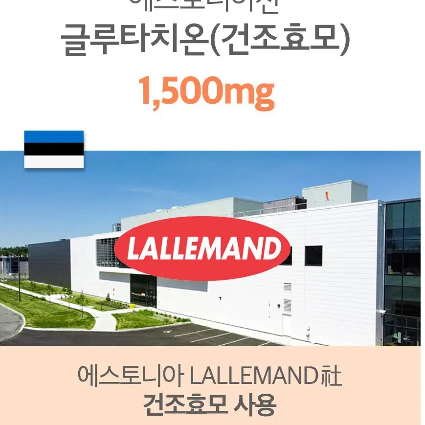 무료배송  에버그린 글루타치온 플러스 3g x 60포 에너지 피쉬콜라겐