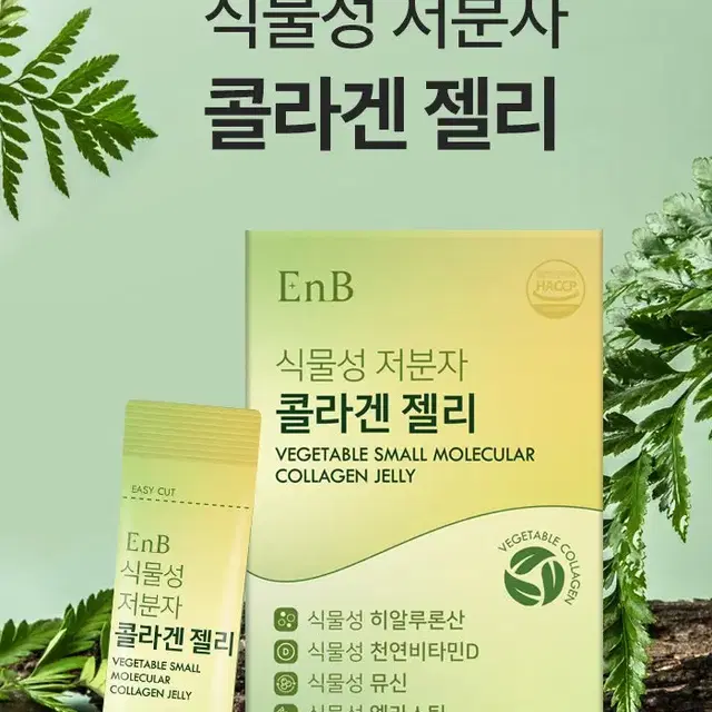 무료배송 EnB식물성저분자콜라겐젤리20g x 14포 4세대 콜라겐