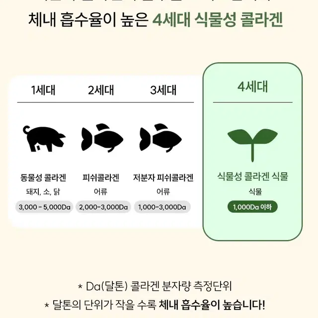 무료배송 EnB식물성저분자콜라겐젤리20g x 14포 4세대 콜라겐