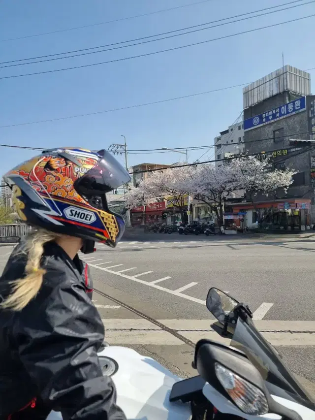 2014 혼다 cbr1000rr 아크라 풀배기