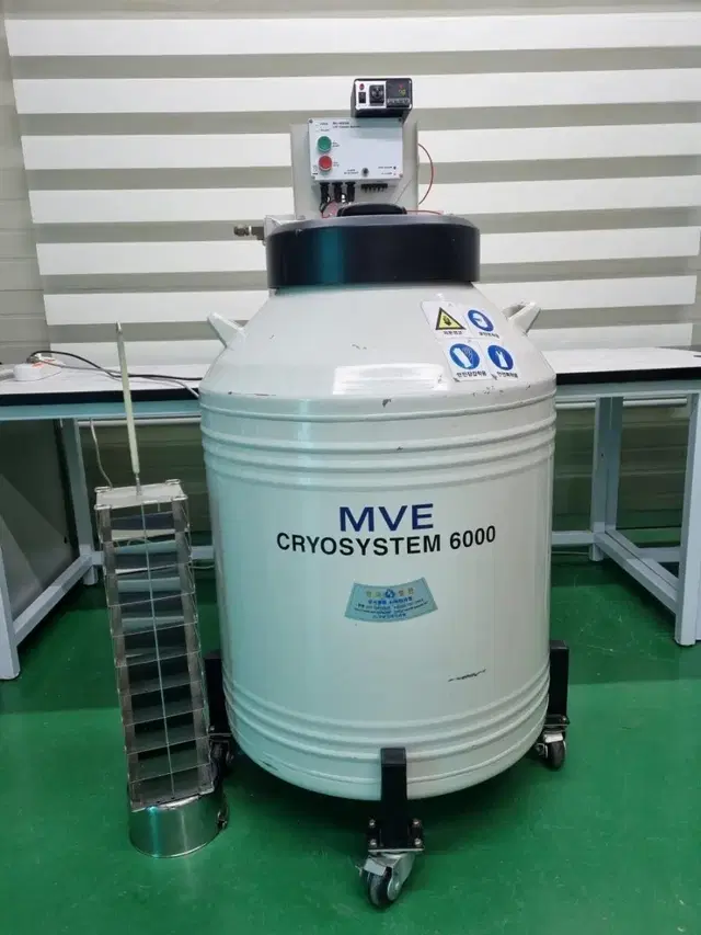 MVE CRYOSYSTEM 6000 액체질소통 175리터,