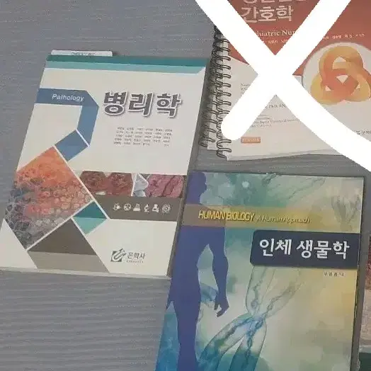 병리학 은학사 인체생물학 부문종