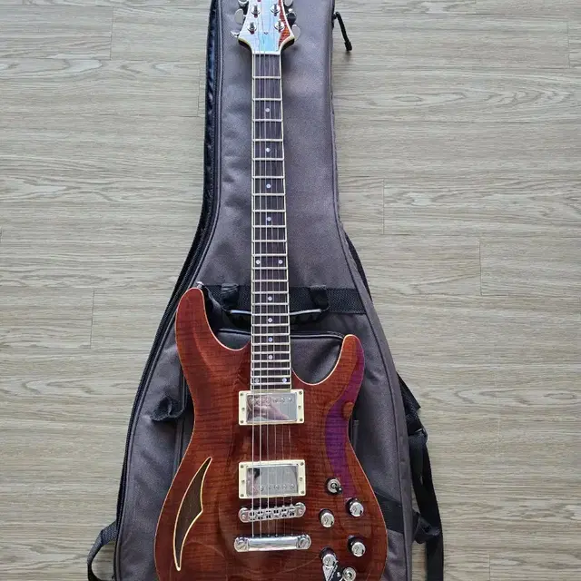 Schecter Guitar Research C-1 E/A 판매합니다!