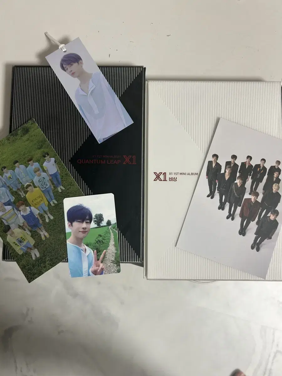 X1 album and sell photos in bulk