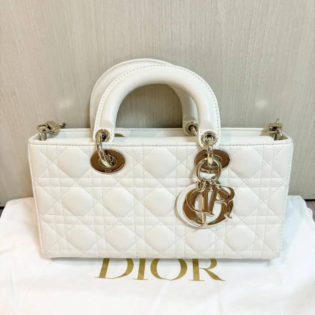 Dior Dior Joybag Ladybag Medium