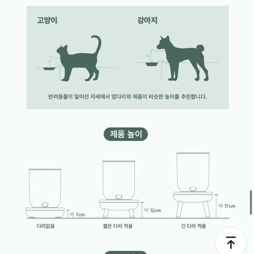 두잇 더 테이블플러스 자동급식기 (새상품)