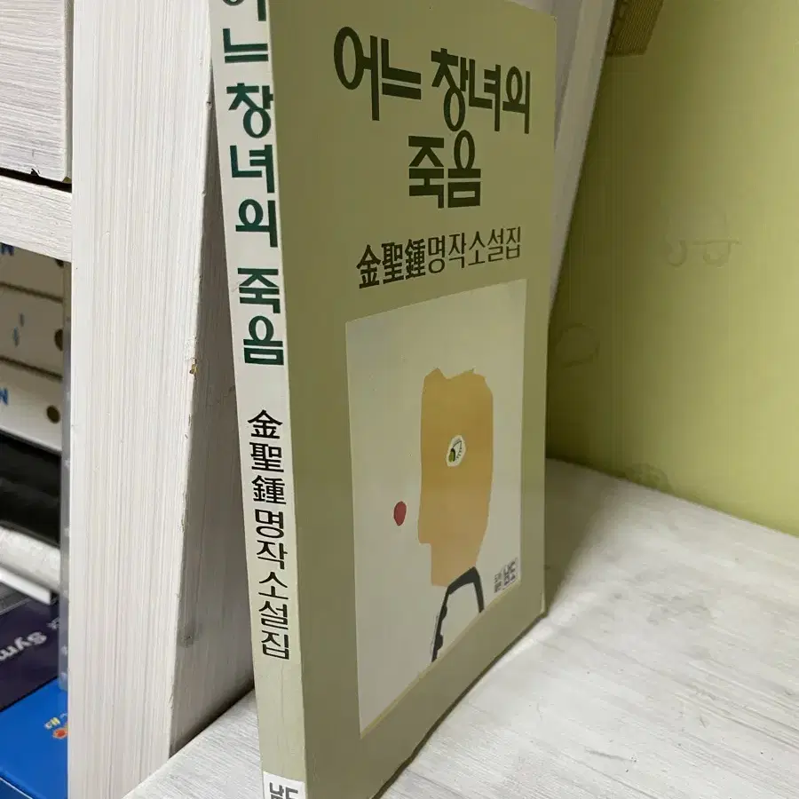 어느 차녀의 죽음(구:김교수의 죽음) - 김성종