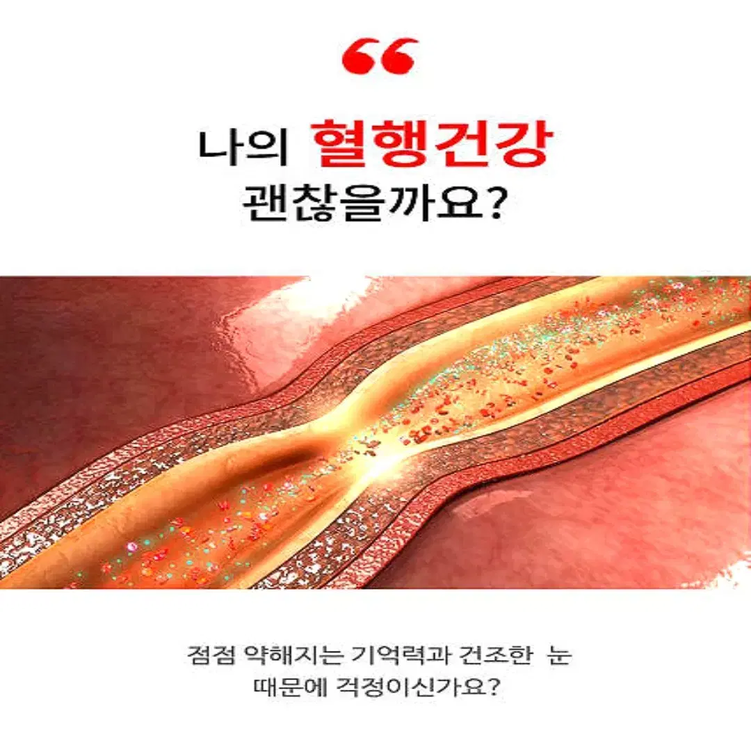 [3개월]웨이팜 혈행개선 징코 오메가3 90정 미국직수입 무료배송