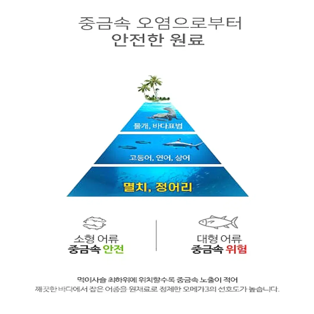 [3개월]웨이팜 혈행개선 징코 오메가3 90정 미국직수입 무료배송