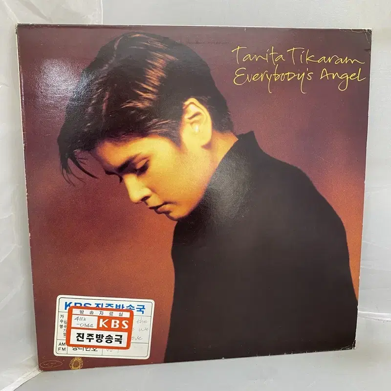 TANITA TIKARAM LP / AA4625