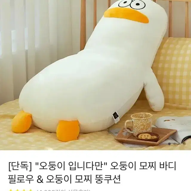 오둥이 바디필로우