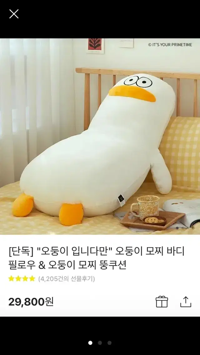 오둥이 바디필로우