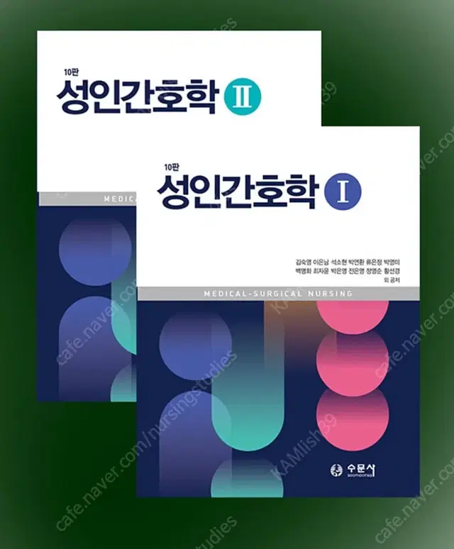 성인간호학 10판 수문사 2권