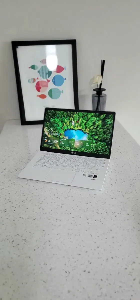 (선물용셋팅) LG 그램 gram 14Z995 i5-10세대 12GB