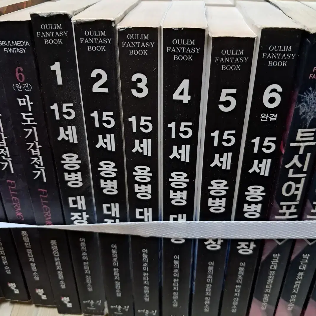 15세 용병대장 1-6 완 /어울림