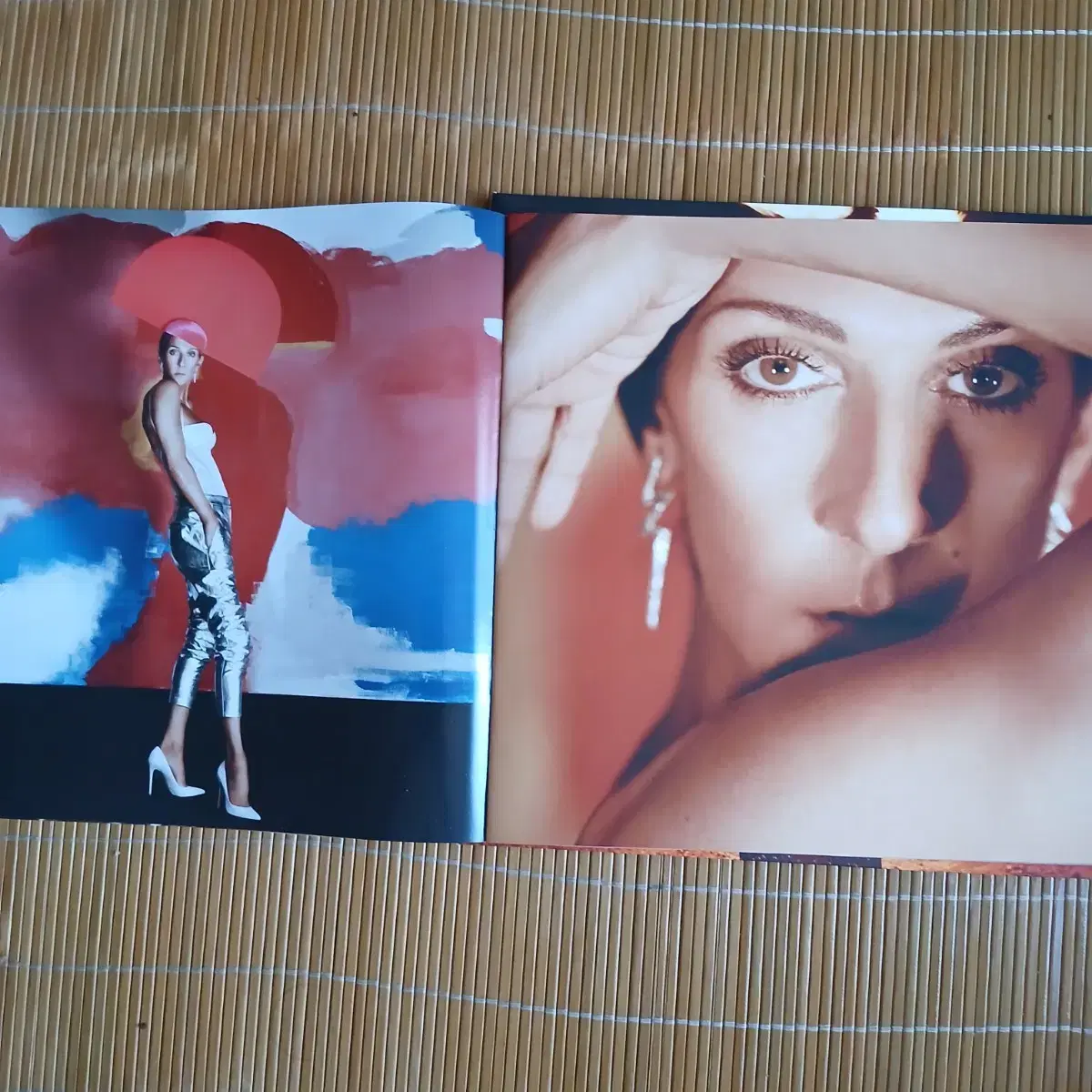 Lp중고 셀린 디온 CELINE DION - COURAGE 2LP 음반