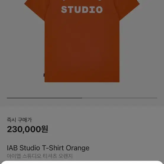 아이앱스튜디오 iabstudio orange t-shirt