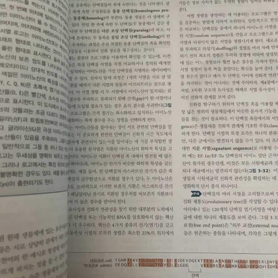 레닌저 생화학 8판 상