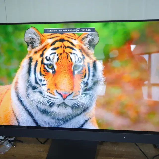 한성 43인치 4K UHD 게이밍 모니터 144HZ TFG43U14F