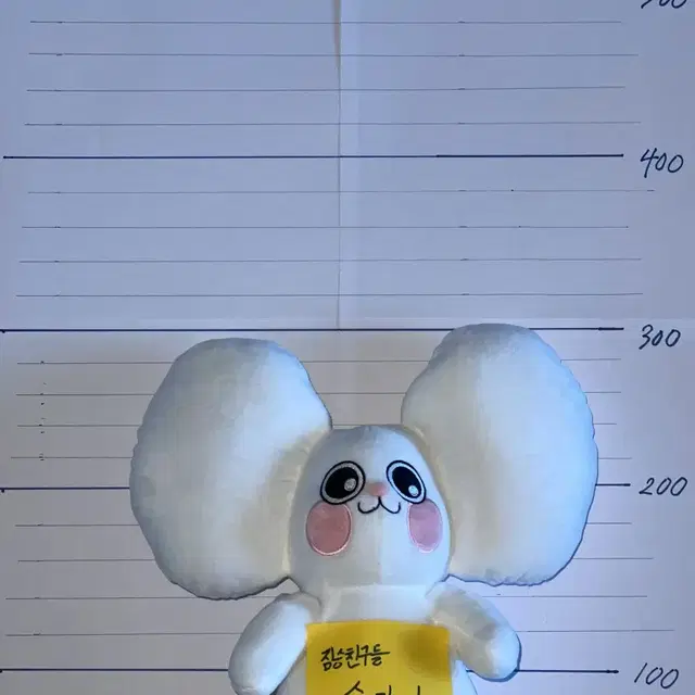 짐승친구들 슘당이 인형(새상품)