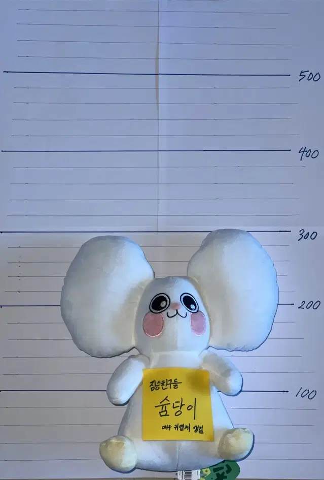 짐승친구들 슘당이 인형(새상품)