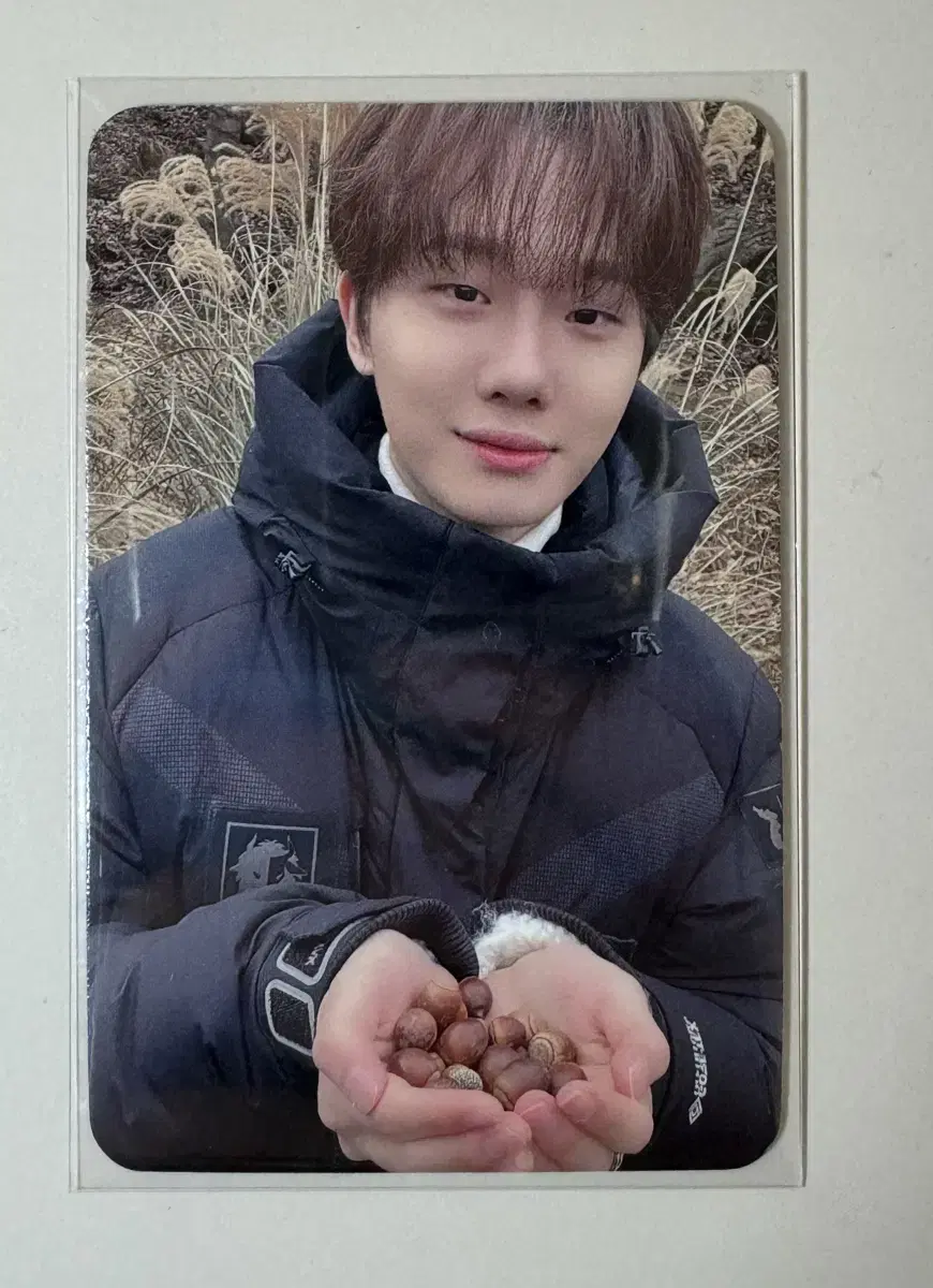 Hahashen Acorn photocard unreleased photocard WTS