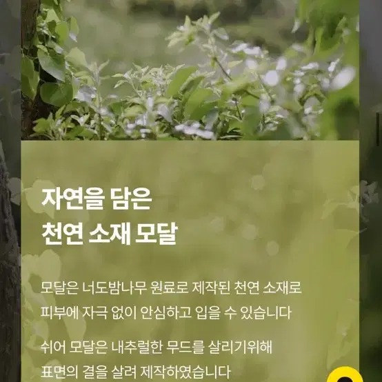 마른파이브 쉬어 브라탑