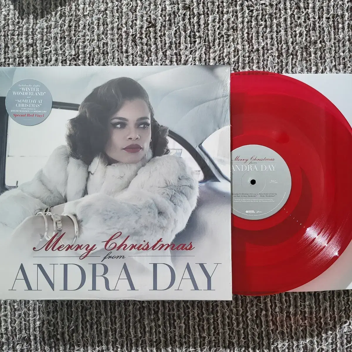 Andra Day 안드라 데이 스티비 원더 크리스마스 캐롤 앨범 반투명