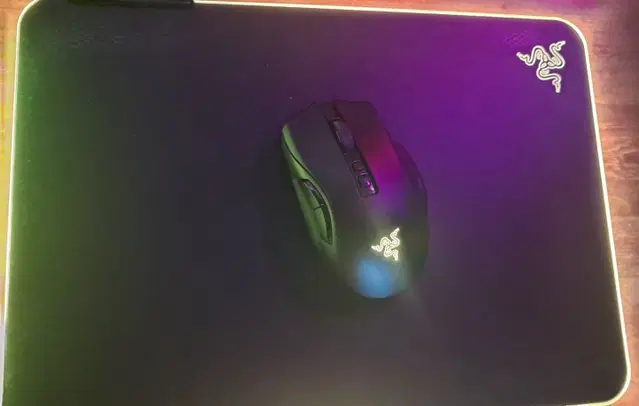 Razer Naga V2 Pro 레이저 나가 V2 프로