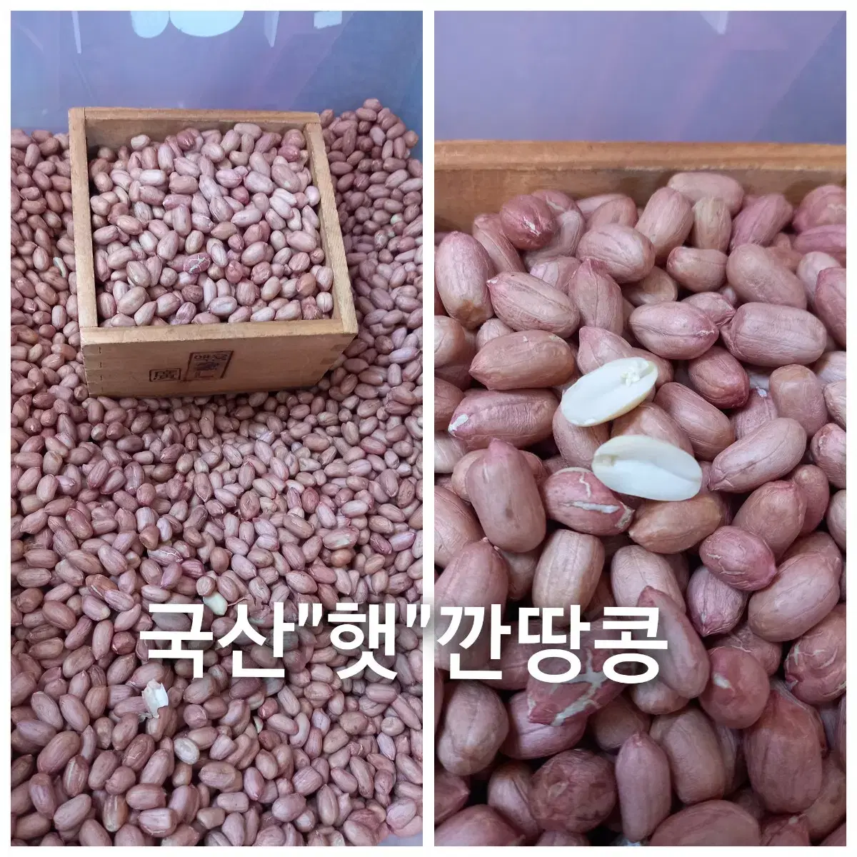 국산 햇 볶음땅콩/서리태 팔아요