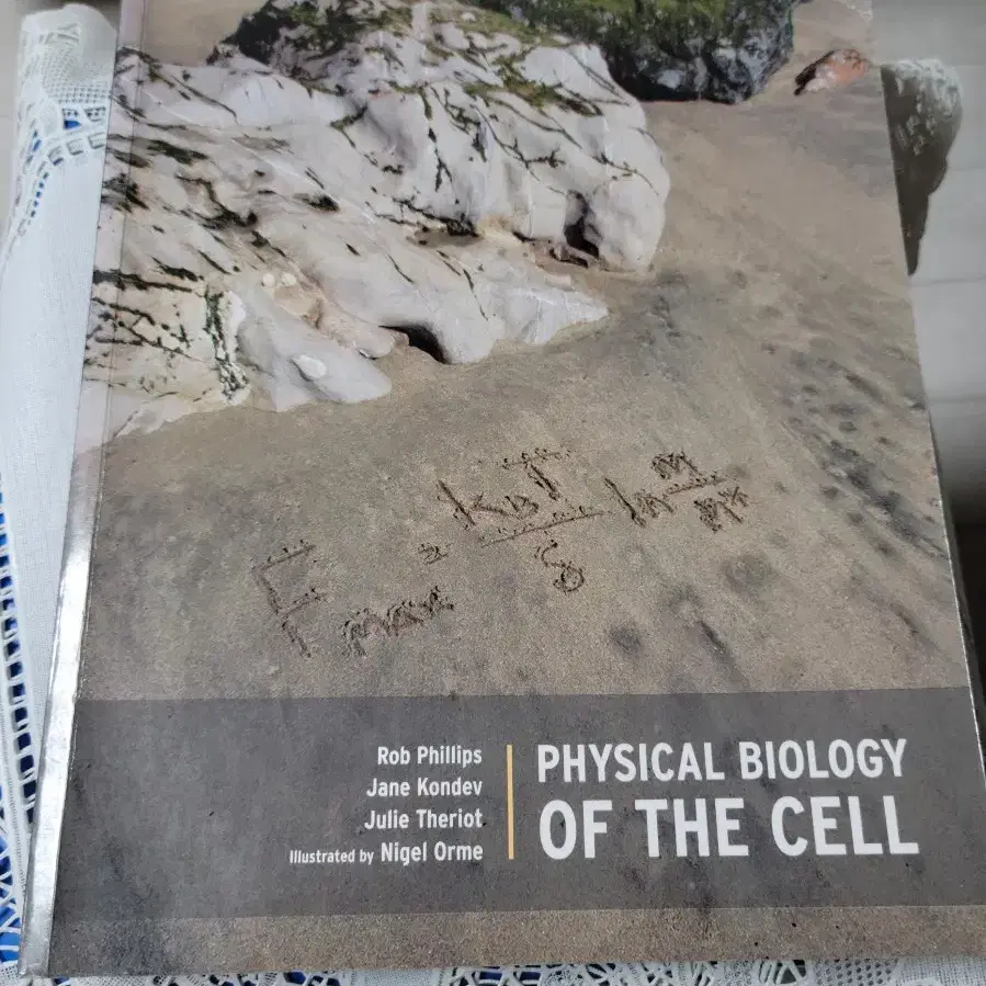 physical biology of the cell