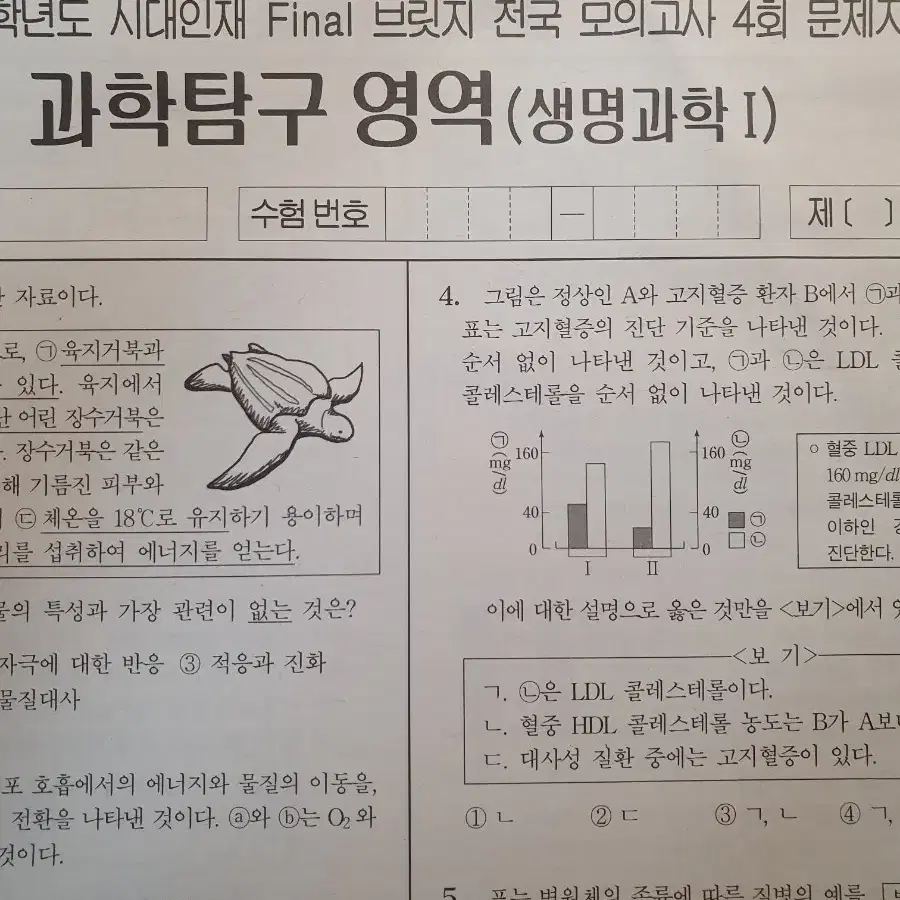 2025 시대인재 파이널브릿지