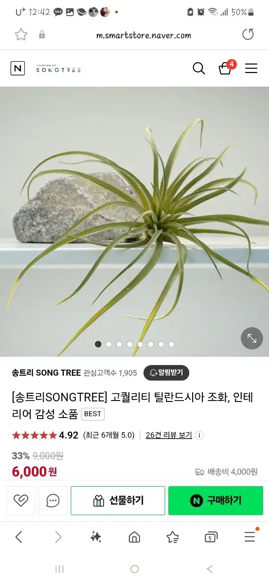 고퀄리티 틸란드시아 식물조화, 인테리어 감성 소품