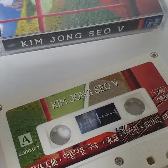 tape)김종서 5집