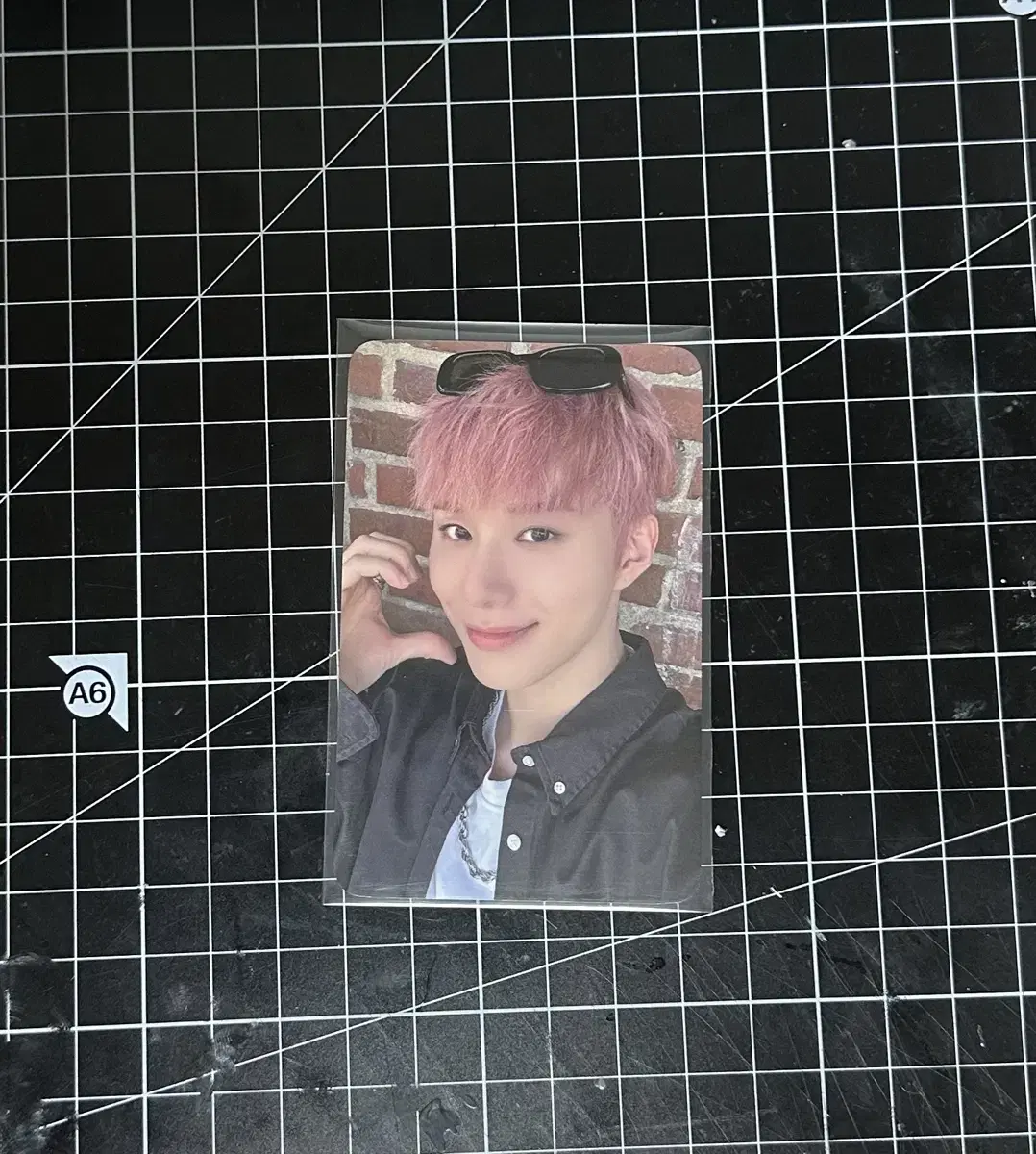 Price drop) nct 127 piggydog walk everline ld jungwoo photocard WTS