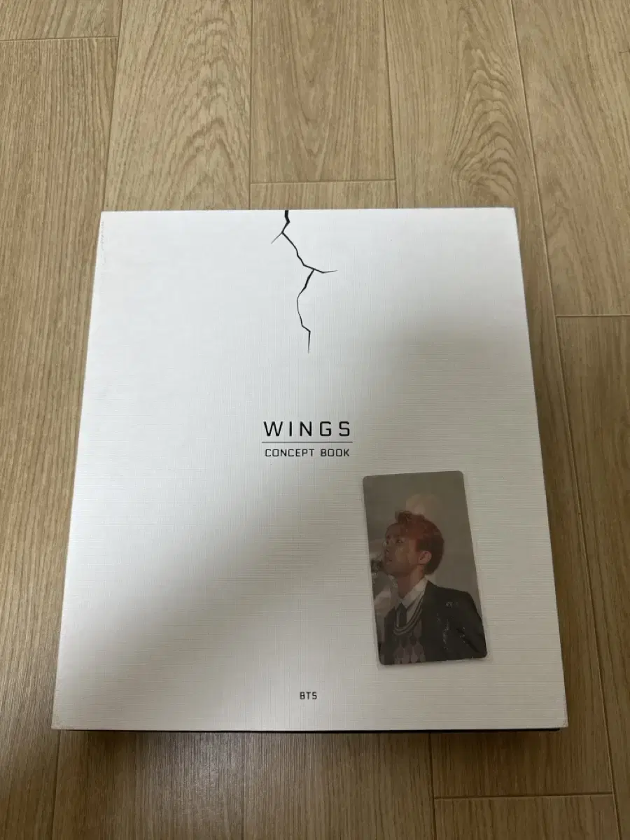 Wings Concept Book