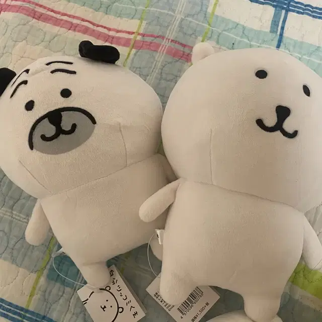 일괄) 농담곰 퍼그상 인형 에이노바