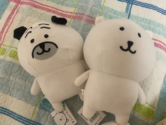 일괄) 농담곰 퍼그상 인형 에이노바