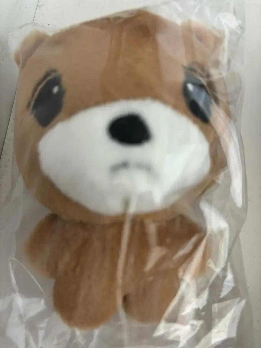 Haechan doll Lee Dongbae WTS