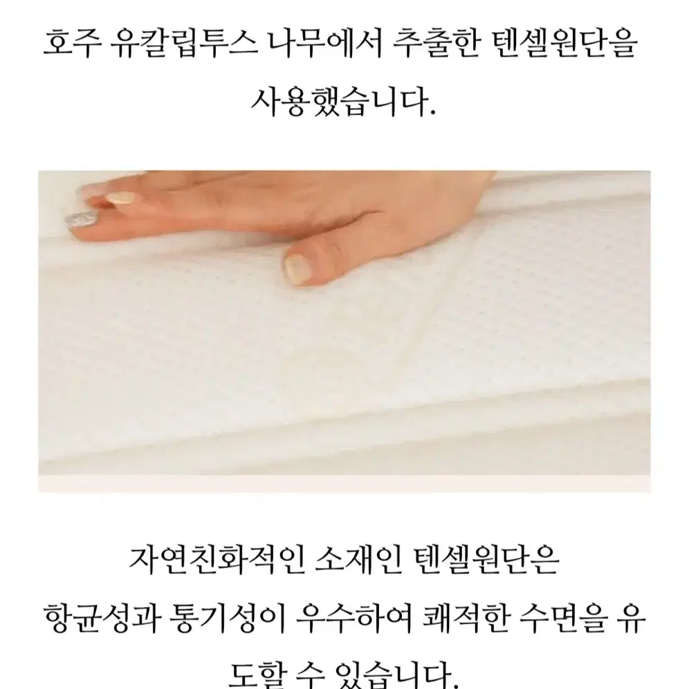 엘라비아 침대 판매