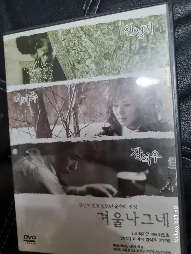 (dvd)영화  겨울나그네