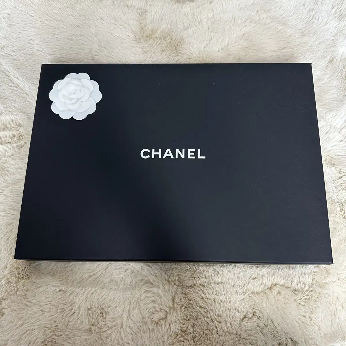 샤넬 CHANEL 클러치