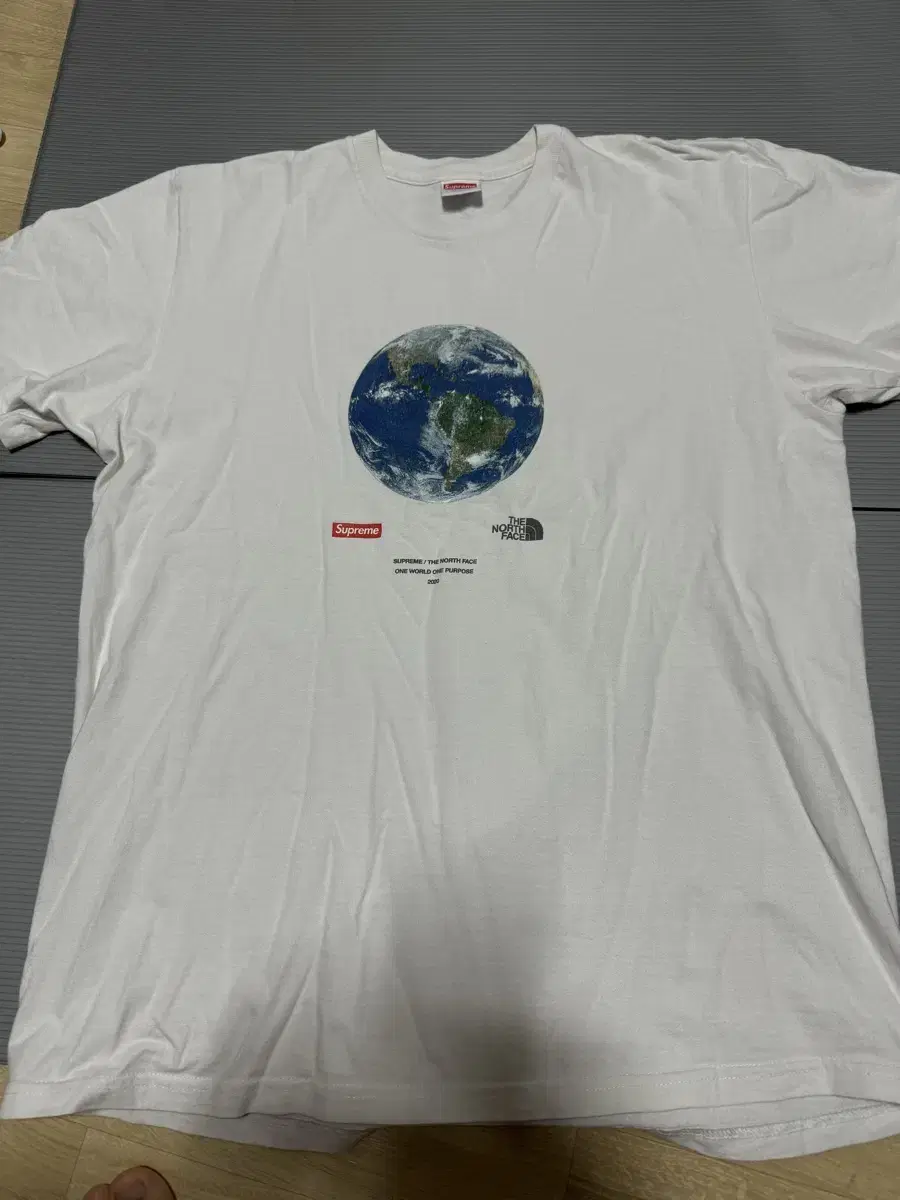 Supreme The North Face Earth Short SleeveL