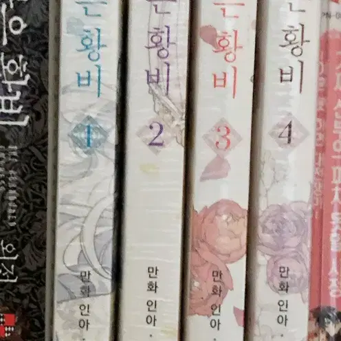 버림받은 황비 1-4