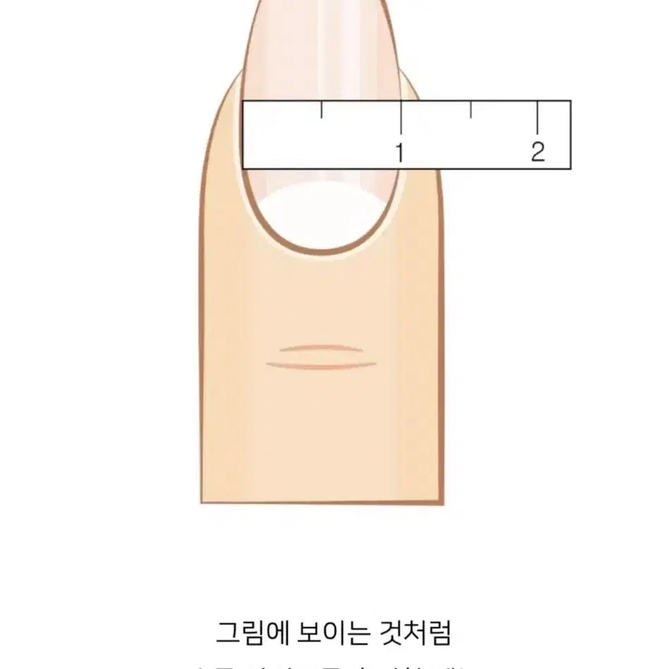 토미에 수제네일팁