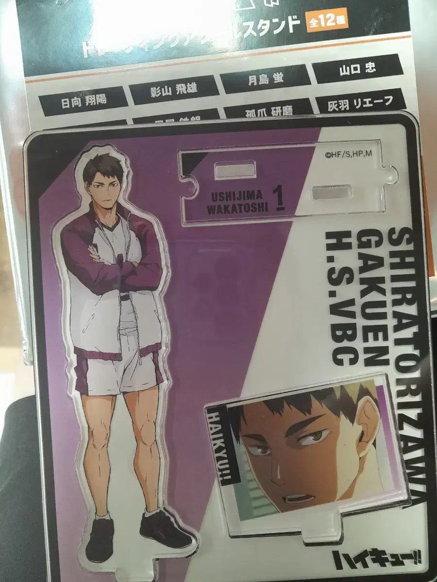 Weekend discount) haikyuu pop up Trading Diorama acrylic Wakatoshi Ushijima