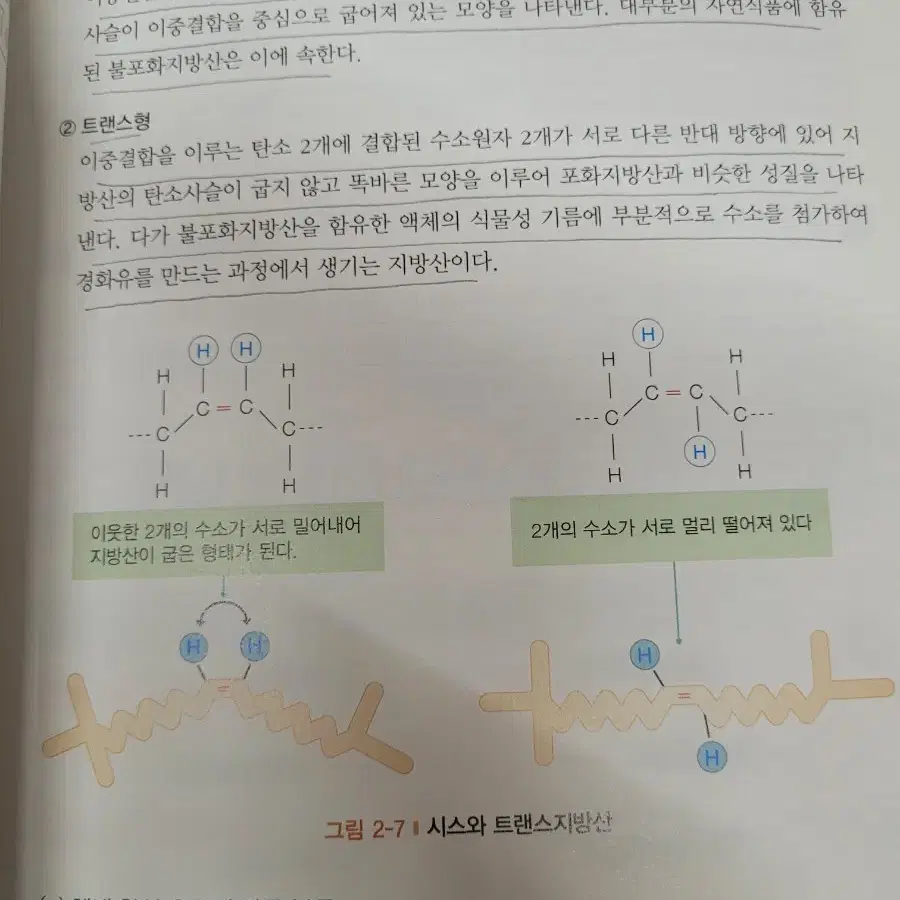 건강을 위한 영양과 식사요법 고문사(간호)