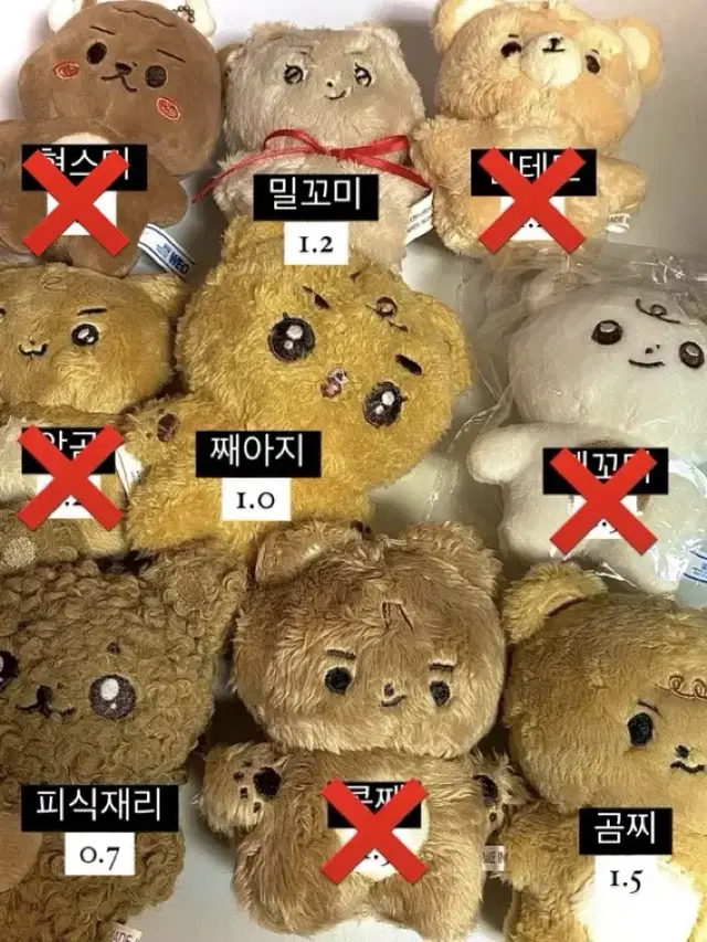 포카 덤) 더보이즈 현재 인형 밀꼬미째꼬미째아지콩째곰찌현테토재리앙곰현스미