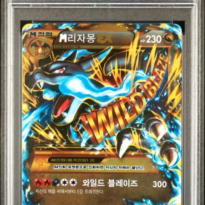 2014 와일드블레이즈 89번 흑자몽 ur psa10