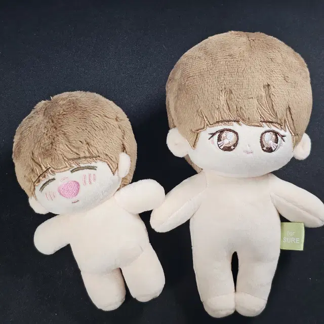 DKZ 재찬 코코볼 인형 10cm&15cm 일괄판매합니다